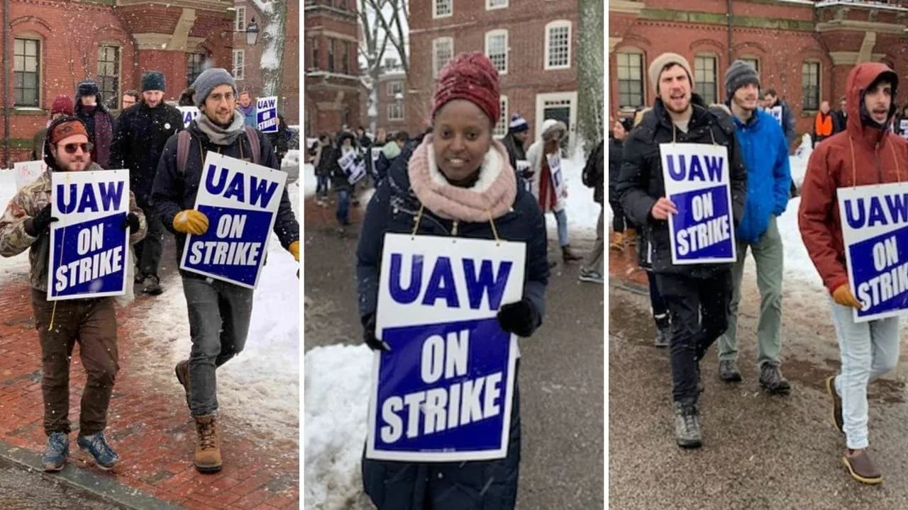 Three-panel collage of Harvard graduate student workers picketing in the snow, holding blue “UAW ON STRIKE” signs outside red-brick Harvard campus buildings